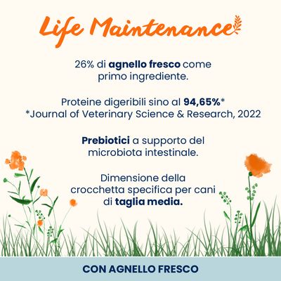 Almo Nature Life Maintenance Adult Medium Agnello & Riso