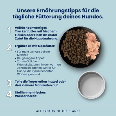 Almo Nature Life Maintenance Adult Lachs & Reis Medium