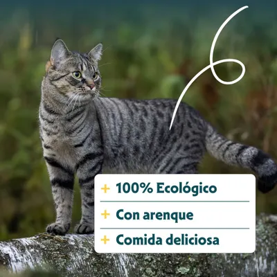100% ecológico, con arenque, alimento delicioso.