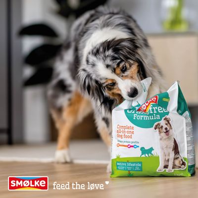 Hond met Smølke Grain Free Formula, Complete all-in-one hondenvoer, actief leven, 3 kg. Tekst: voed de liefde.