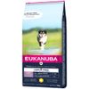 Eukanuba Grain Free Puppy Large Breed, kurczak 12 kg