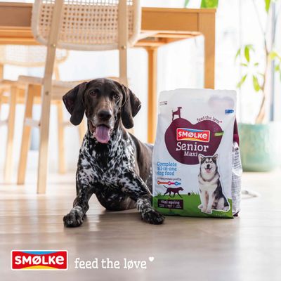 Smølke Senior Maxi Complete all-in-one dog food, unique protein profile, vital ageing. Hund neben Futtersack. Text: feed the love.