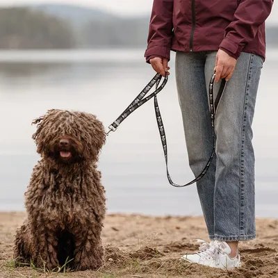 Hund an einer schwarz gemusterten Leine, gehalten von einer Person am Seeufer. Zeigt die Verwendung der Leine im Freien.