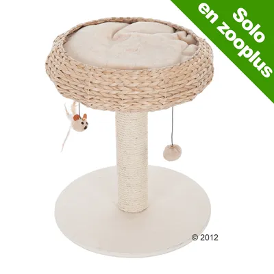 Rascador para gatos con base redonda de madera, poste forrado de cuerda y cama superior de mimbre con cojín beige. Incluye dos juguetes colgantes. Texto: Solo en zooplus.