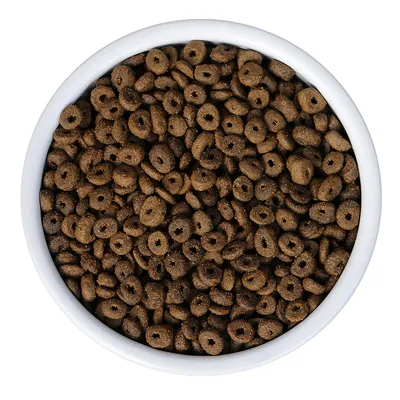 Närbild av bruna, ringformade torrfoderbitar i en vit skål.