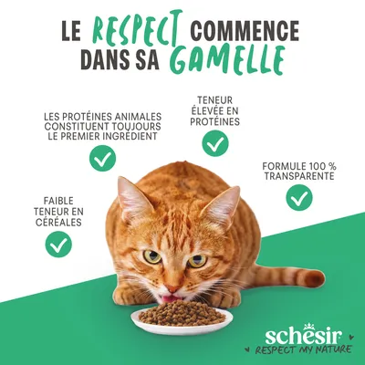 Schesir : Protéines animales comme ingrédient principal, teneur élevée en protéines, faible proportion de céréales, recette 100 % transparente. Le chat mange de la nourriture sèche. Schesir : Protéines animales comme ingrédient principal, teneur élevée en protéines, faible proportion de céréales, recette 100 % transparente. Le chat mange de la nourriture sèche.