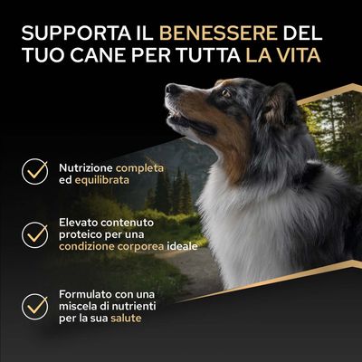 Favorisce il benessere del tuo cane: alimentazione completa ed equilibrata, alto contenuto proteico per una condizione corporea ideale, miscela di nutrienti per la salute.