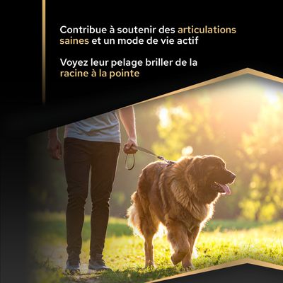 Favorise des articulations saines et un mode de vie actif. La fourrure brille de la racine jusqu'à la pointe.