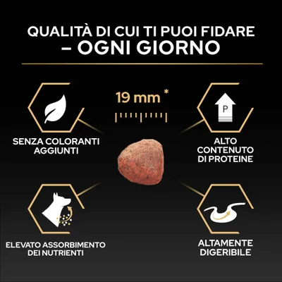 Pezzo di alimento con taglia di 19 mm, senza coloranti, alto contenuto proteico, elevato assorbimento di nutrienti e alta digeribilità secondo l'immagine.