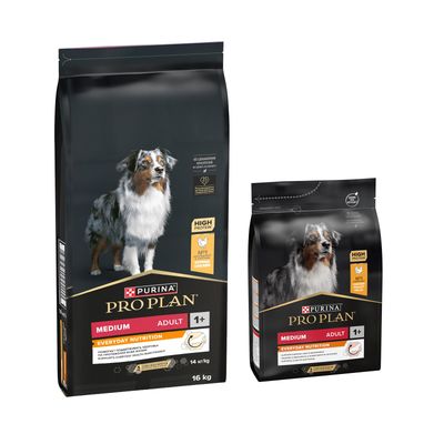 PURINA PRO PLAN 19 kg pienso para perros en oferta: 16 + 3 kg ¡gratis! - Medium Adult Everyday Nutrition (16 kg + 3 kg)
