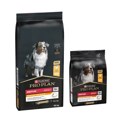 PURINA PRO PLAN 19 kg pienso para perros en oferta: 16 + 3 kg ¡gratis! - Medium Adult Everyday Nutrition (16 kg + 3 kg) PURINA PRO PLAN 19 kg pienso para perros en oferta: 16 + 3 kg ¡gratis! - Medium Adult Everyday Nutrition (16 kg + 3 kg)