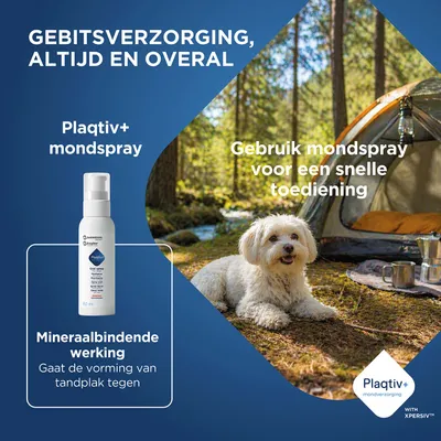 Plaqtiv+ mondspray met mineralbindende werking, voorkomt tandplakvorming. Toepassing overal mogelijk, snelle dosering aanbevolen.