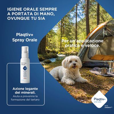 Plaqtiv+ Spray orale, 60 ml. Azione di legame dei minerali, aiuta a prevenire la formazione del tartaro. Applicazione pratica e veloce per l'igiene orale fuori casa.