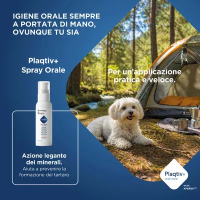 Plaqtiv+ Spray orale, 60 ml. Azione di legame dei minerali, aiuta a prevenire la formazione del tartaro. Applicazione pratica e veloce per l'igiene orale fuori casa. Plaqtiv+ Spray orale, 60 ml. Azione di legame dei minerali, aiuta a prevenire la formazione del tartaro. Applicazione pratica e veloce per l'igiene orale fuori casa.