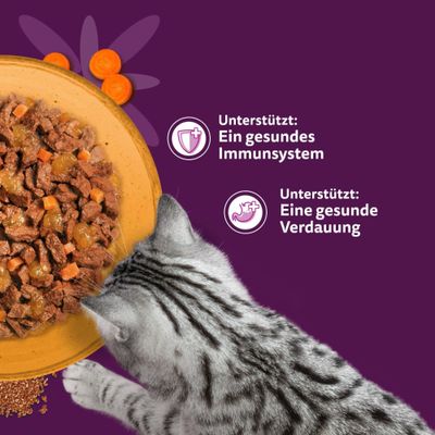Whiskas 1+ Superfoods Gemischte Auswahl in Gelee 6 x 50 g - Ente & Hühnerleber