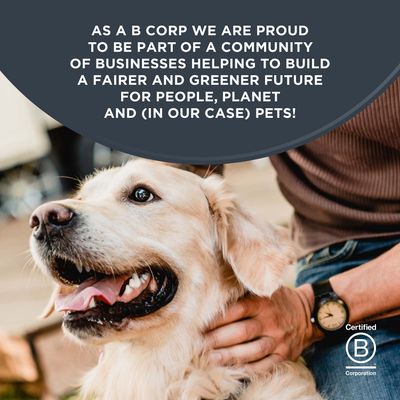 As a B Corp, we are proud to be part of a community that is creating a fairer and greener future for people, the planet, and pets. Certified B Corporation.