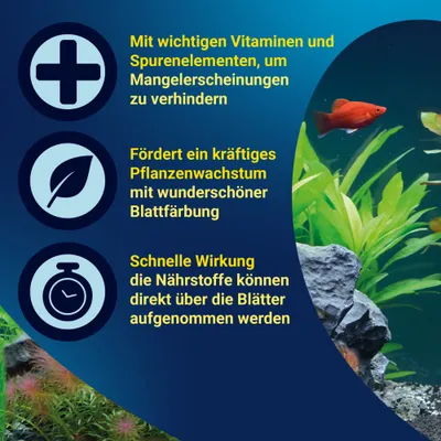Avec des vitamines essentielles et des oligo-éléments, favorise une croissance vigoureuse des plantes avec une belle coloration des feuilles, effet rapide grâce à l'absorption directe des nutriments par les feuilles.
