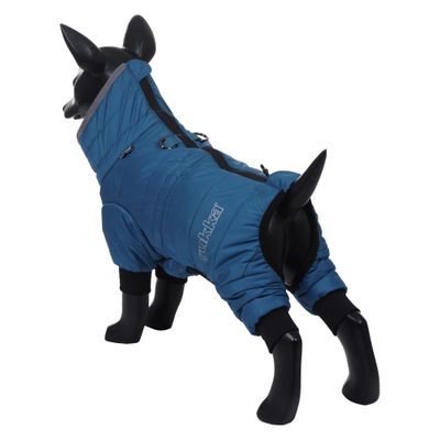 Hundemantel in Blau mit Aufdruck 'rukka', Reißverschluss am Rücken, schwarze Bündchen an den Beinen, präsentiert auf schwarzem Hundemodell.