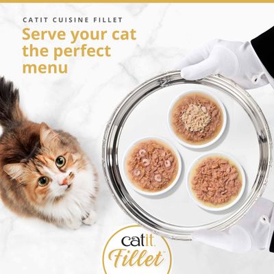 Catit Cuisine Fillet. Offri al tuo gatto il menu perfetto. Tre ciotole con alimento a base di filetto su un vassoio, gatto accanto.
