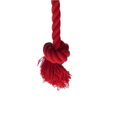 beeztees Christmas Tree Dog Toy - Fir: 30 x 20 x 15 cm (L x W x H)
