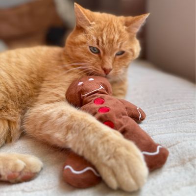 Coussin de jeu pour chat Aumüller Bonhomme en pain d'épices - 1 pièce
