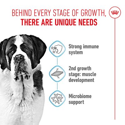 Royal Canin Giant Junior