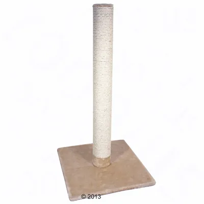 Cat tree with beige base and sisal-wrapped scratching post, suitable for cats to scratch and play.