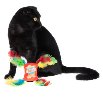 Gato negro con juguete en forma de envase rojo con la inscripción 'Crisps', decorado con plumas de colores.