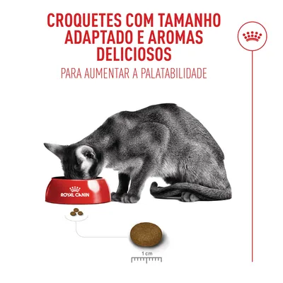 Royal Canin Fussy Exigent - 10 + 2 kg grátis!