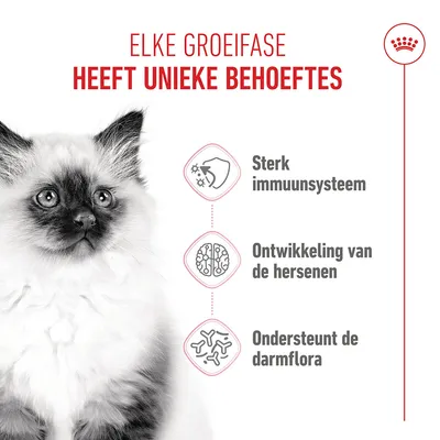 Royal Canin Kitten - 4 kg