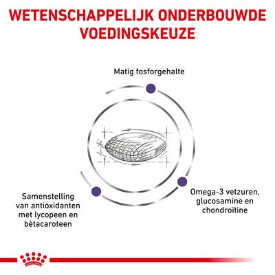 Wetenschappelijk onderbouwde voedingskeuze: matig fosforgehalte, samenstelling van antioxidanten met lycopeen en bètacaroteen, omega-3 vetzuren, glucosamine en chondroïtine.