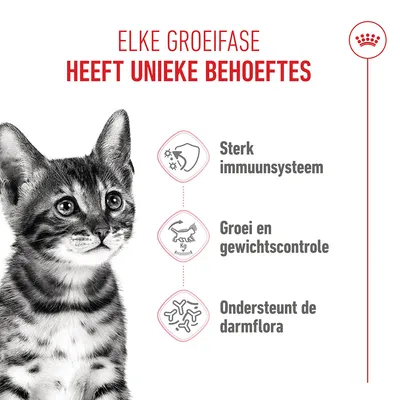 Royal Canin Kitten Sterilised - Dubbelpak: 2 x 3.5 kg