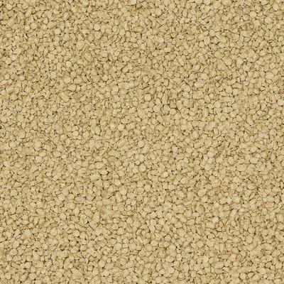 Close-up of beige cat litter with fine granules.