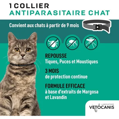 Collier répulsif contre les puces et les tiques Vetocanis pour chat - 1 collier