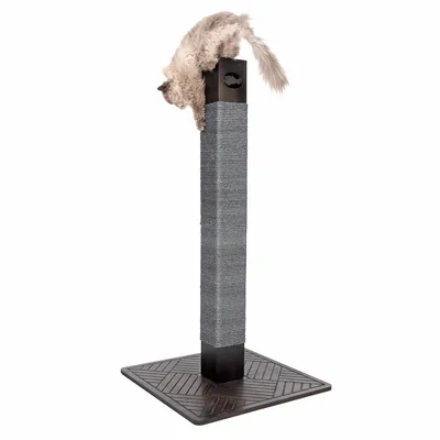 Chat gris perché sur un grand griffoir carré en sisal avec base et sommet en bois foncé, motif géométrique visible sur la base.