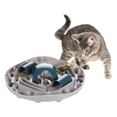 Graue Katze spielt mit einem grauen und blauen Futterlabyrinth, das Trockenfutter enthält.