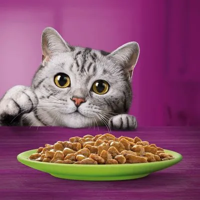 Gemengd Pakket Whiskas Senior Maaltijdzakjes 12 x 85 g - 11+ Gevogelte-selectie in gelei