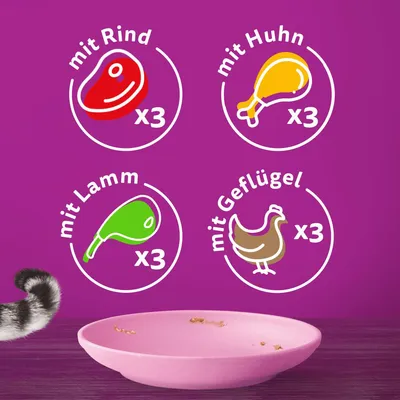 Produkten innehåller 3 portioner med nötkött, 3 med kyckling, 3 med lamm och 3 med fjäderfä. Illustrationer av köttsorterna på lila bakgrund.
