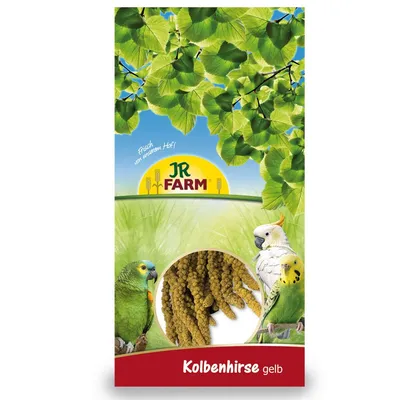 JR Farm Kolbenhirse gelb packaging with visible millet sprays, images of three parrots, and text 'Frisch vom unserem Hof!' at the top. Brand name JR Farm clearly shown.