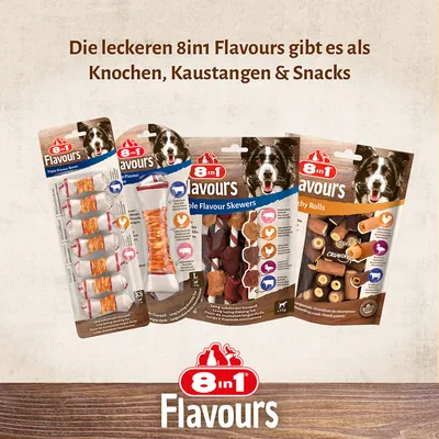8in1 Flavours: ízletes csontok, rágórudak és snackek különböző ízekben. A csomagolások termékrészleteket és XS–L méreteket mutatnak.