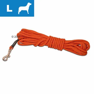 Orange rope lead with metal clip, shown coiled. Blue icon in corner displays a large size indicator and silhouette of a dog.