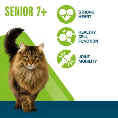 Text in the image: SENIOR 7+, STRONG HEART, HEALTHY CELL FUNCTION, JOINT MOBILITY. Three green icons for heart, cells and joint mobility.