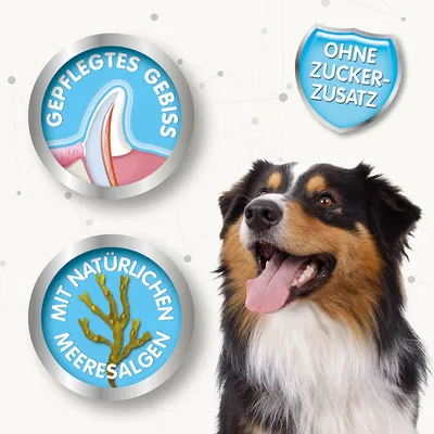 Drawn symbols: well-groomed teeth, with natural seaweed, no added sugar. Dog with open mouth visible.