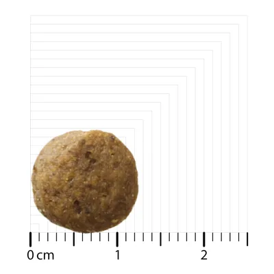 Närbild av ett runt torrfoderbit med storleksangivelse. Diameter ca 1,5 cm, visad på en skala i centimeter.