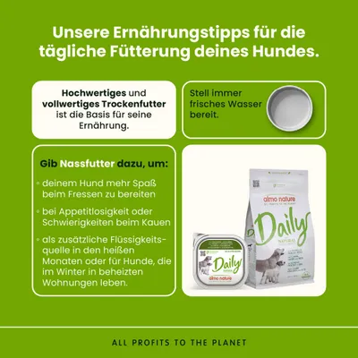 Sparpaket Almo Nature Daily 18 x 300 g - mit Truthahn und Zucchini