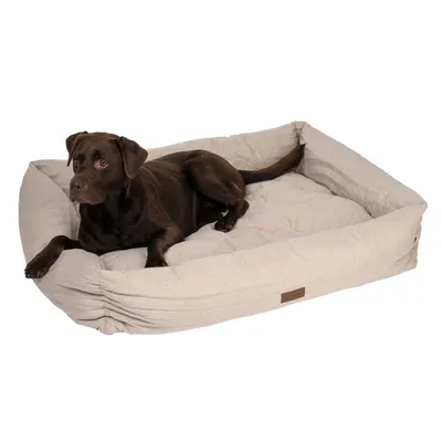 Panier rectangulaire beige en tissu matelassé avec un grand chien à poil court marron allongé à l’intérieur. Étiquette visible sur le devant du panier.
