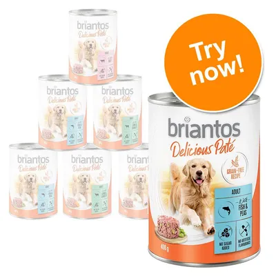 briantos Delicious Paté Grain-Free Recipe Adult with Fish & Peas, 400g tin, no sugar added, no artificial flavourings. Orange badge reads: Try now!