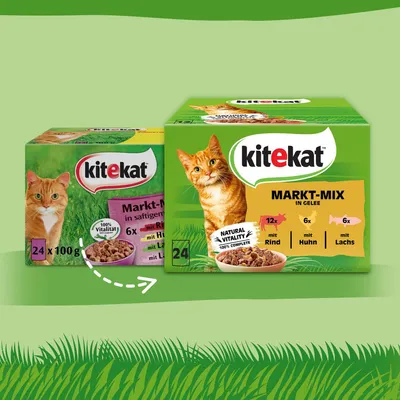 Kitekat Markt-Mix in Gelee, 24 x 100g. Sorten: 12x mit Rind, 6x mit Huhn, 6x mit Lachs. 100% Vitalität, Natural Vitality, 100% Complete.