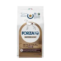 Forza10 Active Line Intestinal Colon Fase 1 Crocchette per cane - 4 kg