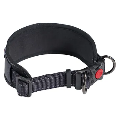 Zwarte hondenhalsband met gevoerde binnenkant, verstelbare nylonriem en kliksluiting met rode veiligheidsknop.